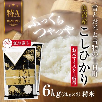 ふるさと納税 十日町市 【無地のし】 魚沼産 コシヒカリ 3kg ×2袋 計 6kg 新潟県 美味しい炊き方ガイド付き