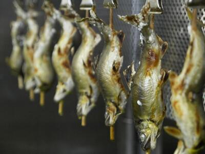 ＜あゆの店きむら＞ 滋賀県産 あゆの塩焼き 5尾入