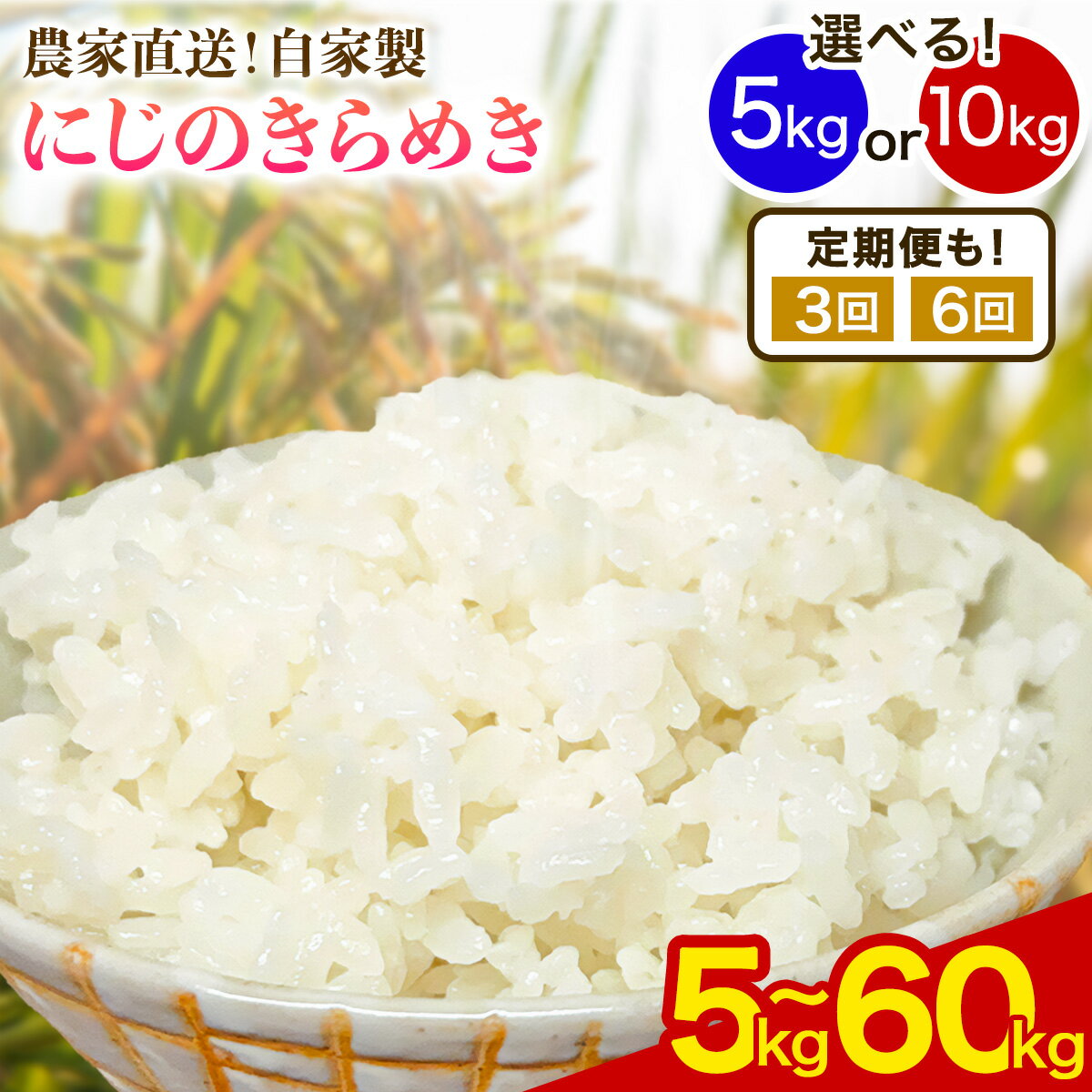 【ふるさと納税】新米 [令和8年産／11月上旬より順次発送] 伊勢原産 精米5kg／10kg [1回発送／定期便3ヶ月／6ヶ月連続] にじのきらめき 農家直送！加藤さんちのうんめぇ！自家製米｜先行予約 お米 おこめ コメ 白米 神奈川 伊勢原 [1142-1148]
