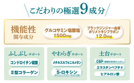 75914_【機能性表示食品】DHC極(ごく)らくらくEX 30日分 2個セット（60日分） MBB029