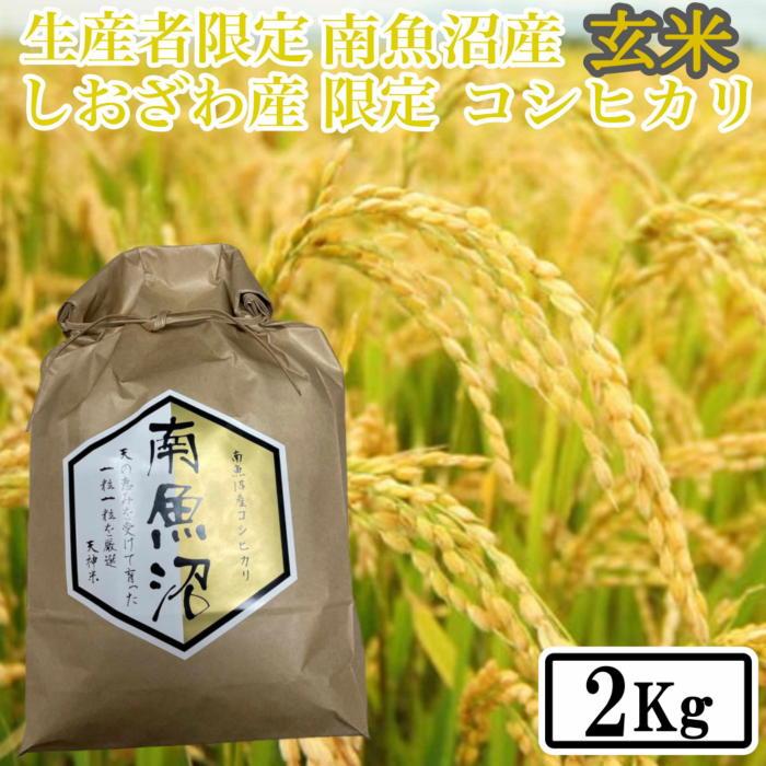 【ふるさと納税】【令和7年産】【2kg】玄米 しおざわ産限定 生産者限定 南魚沼産コシヒカリ | お米 こめ 食品 コシヒカリ 人気 おすすめ 送料無料 魚沼 南魚沼 南魚沼市 新潟県 玄米 産直 産地直送 お取り寄せ