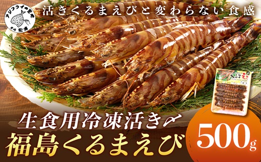 生食用冷凍活き〆福島くるまえび500g×1パック( 車エビ クルマエビ くるまえび えび エビ 海老 生食用 )【B3-067】