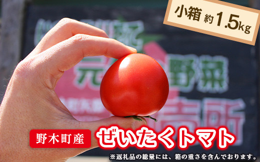 
T06 栃木県野木町産ぜいたくトマト（約1.5kg）【2023年10月ごろから発送予定】
