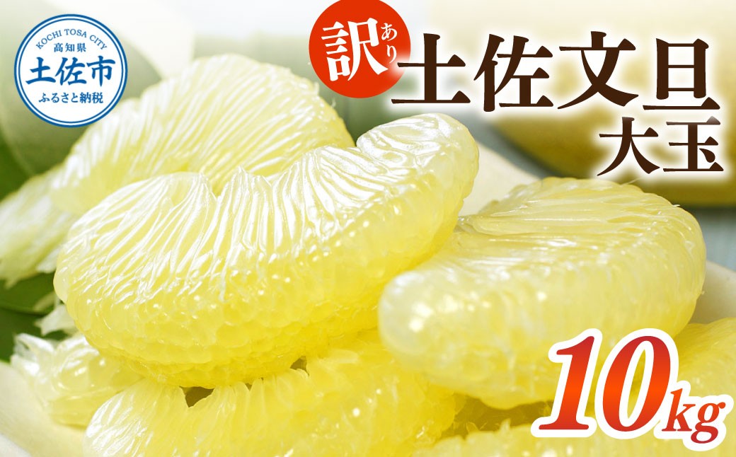 
                  【先行予約】【訳あり】土佐文旦 大玉 訳あり 約10kg（3L～2Lいずれかのサイズ）【白木果樹園】〈2027年2月中旬～3月下旬頃発送〉文旦 ぶんたん 土佐 柑橘 高知県産 フルーツ お取り寄せ 訳あり 高知県 土佐市【白木果樹園】[BQAI058]
                