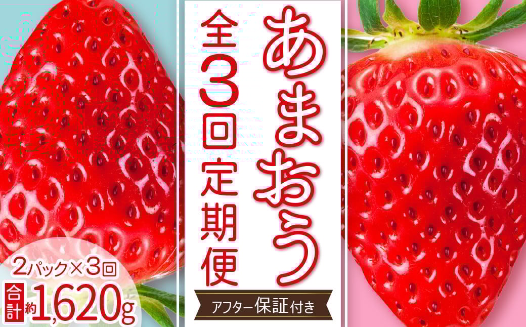 
            【 あまおう 定期便 全3回】福岡県産あまおう 約270g 前後 ×２パック いちご イチゴ あまおう 福岡限定 ブランド 果物 フルーツ ストロべリー スイーツ ケーキ パフェ スムージー ジャム 国産 福岡県 お取り寄せ 送料無料 3W27
          