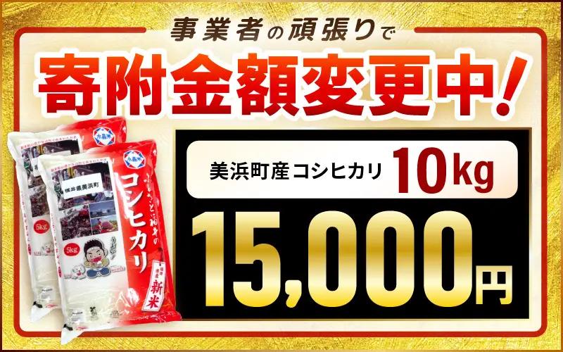 【先行予約】【令和7年産】米 コシヒカリ 計10kg （5kg × 2袋）精米 福井県美浜町産 【2026年8月下旬発送予定】 [m60-b004_08]