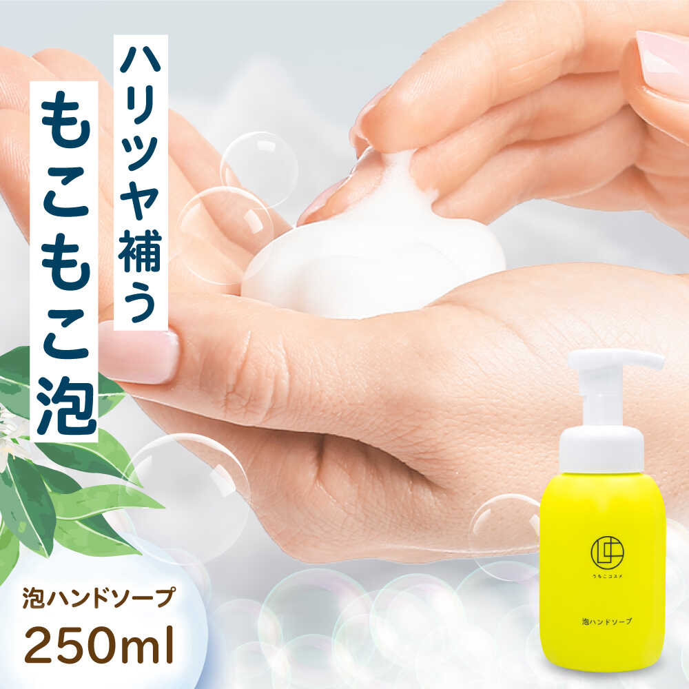 【ふるさと納税】うちこコスメ泡ハンドソープ 250ml ／ スキンケア 洗浄 化粧品 コスメ 美容 日用品 手洗い ハンドソープ 愛媛県 内子町【昭和刷子株式会社】[BKAZ001]