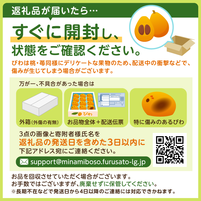 【先行受付 2026年5月中旬～6月中旬発送予定】【数量限定】生産者直送　ジューシー袋詰めびわ（訳あり混合サイズ12～18個）mi0057-0001