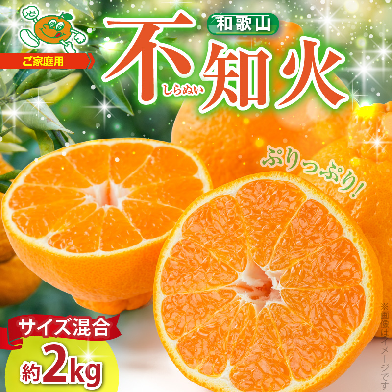 ZJ6071_【2026年先行予約】不知火(しらぬい) オレンジ みかん 2kg 訳あり ご家庭用 サイズ混合