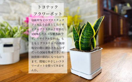 【エコ製品】トヨテックフラワーポット(受皿付) 黒 2サイズ×2個セット(4・6号)