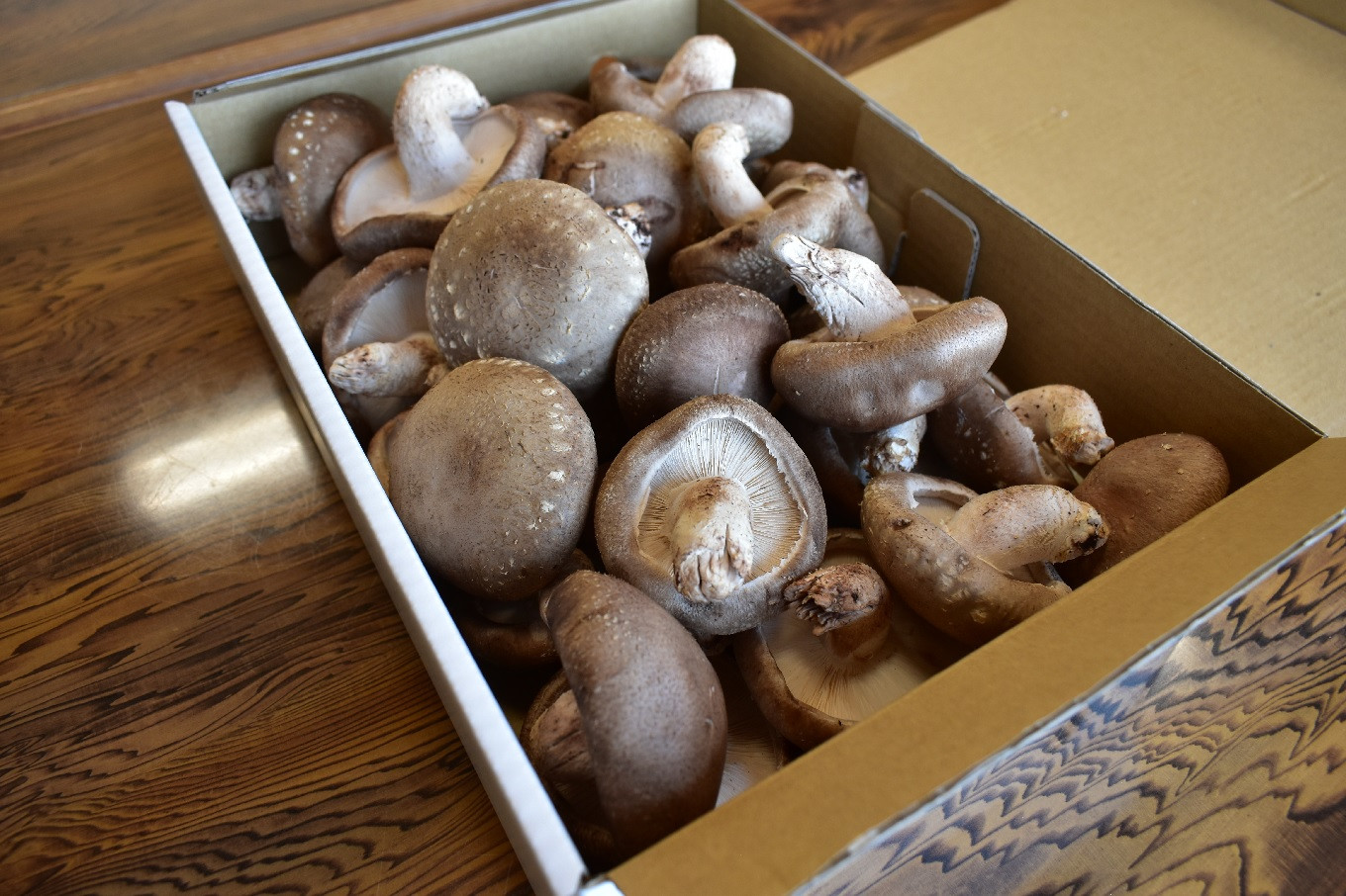 無農薬 無肥料 伊豆産 原木 栽培 生しいたけ 1kg　【椎茸 キノコ 肉厚 シイタケ 】　010-002