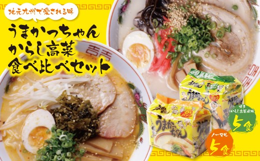 W55-06 【7営業日以内発送】うまかっちゃん 博多からし高菜・豚骨ラーメン食べ比べセット(5食×2)