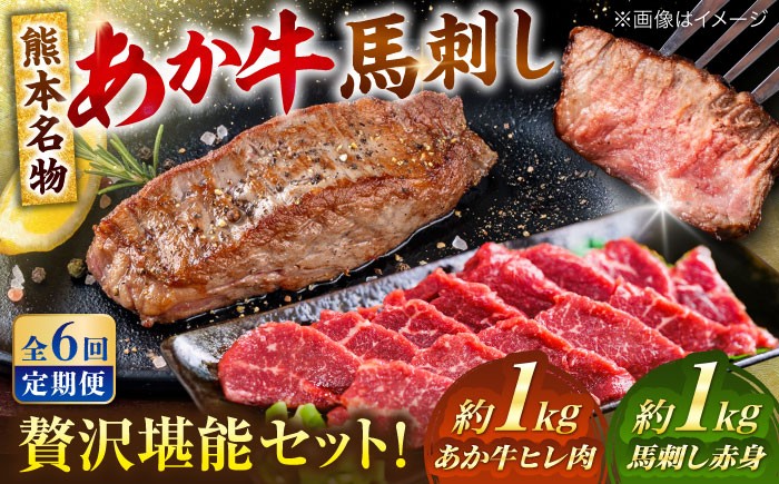 
                  【全6回定期便】熊本の贅沢 あか牛 ヒレ肉 約1kg 赤身 馬刺し 約1kg 堪能セット / 熊本 あか牛 あかうし 赤牛 馬肉 馬刺し 馬刺 バサシ 食べ比べ 冷凍【合同会社 たべたせいか】 [AYCB039]
                