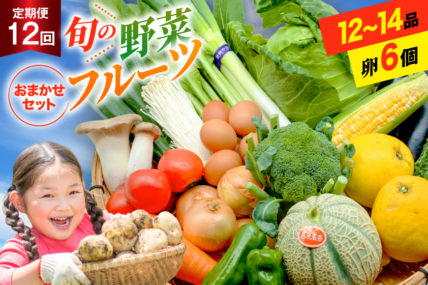 BF059 野菜 フルーツ 定期便12回 おまかせセット 野菜 フルーツ12～14品目 卵6玉 野菜 果物 フルーツ 卵 鶏卵 セット 詰め合わせ 産地直送 春 夏 秋 冬 ふるさと納税
