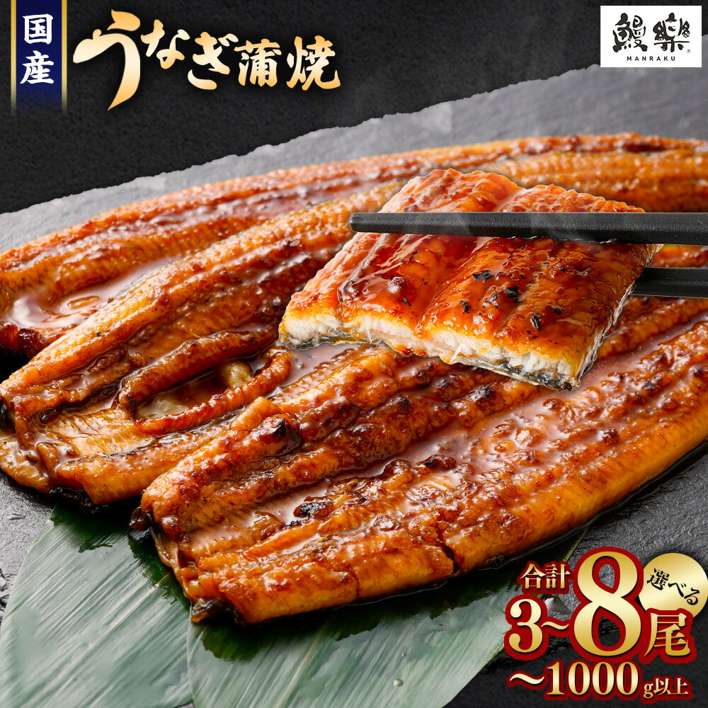 【ふるさと納税】【訳あり】極上鰻！うまい！＜国産 うなぎ 鰻 蒲焼き 3尾・4尾 ～ 5尾・6尾 ～ 8尾 330g 〜 1kg ふるさと納税 うなぎ 高級 長蒲焼 鰻 訳あり ウナギ unagi 丑の日 宮崎 高鍋町 人気 ランキング 送料無料