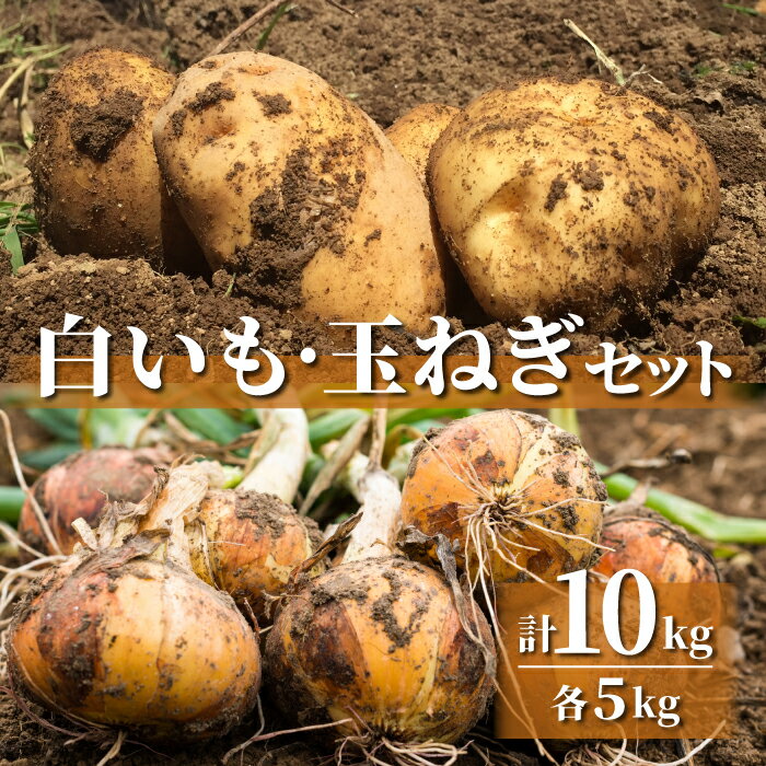 【ふるさと納税】【先行受付2025年発送予定】白いも(M〜Lサイズ）と玉ねぎ（L〜2Lサイズ）各5kg　御牧八重原農園｜じゃがいも【数量限定】詰め合わせ