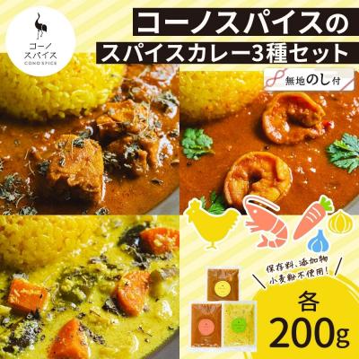 ふるさと納税 名古屋市 《無地熨斗》 コーノスパイス スパイスカレー 3種 セット チキン エビ ベジタブル 各200g