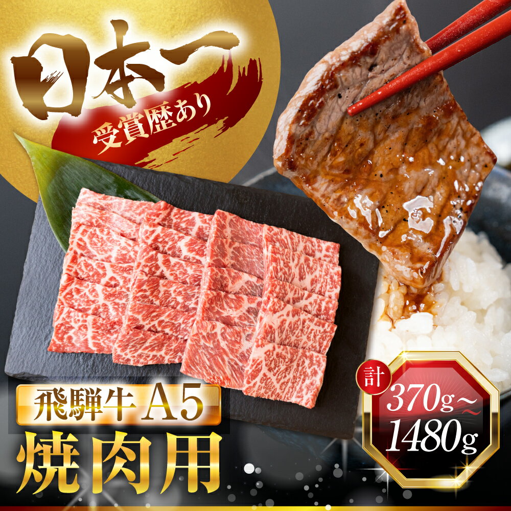 【ふるさと納税】最高ランク A5 飛騨牛 焼肉用 370～1480g 厳選部位 部位おまかせ モモ カタ バラ カルビ 肩肉 A5等級 A5ランク 赤身 霜降り 牛肉 和牛 国産 国産和牛 ブランド牛 高級 定期便 冷凍 プレゼント BBQ 焼肉 焼き肉 15000円 1万5千円 中部ミート 岐阜県 大垣市