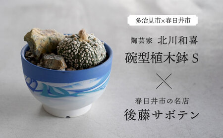 多治見市×春日井市コラボ 【美濃焼】 陶芸家「北川和喜」 碗型植木鉢 S× 【日本有数のサボテンの生産地】 春日井市の名店 後藤サボテン 【井澤コーポレーション】[TBP177]