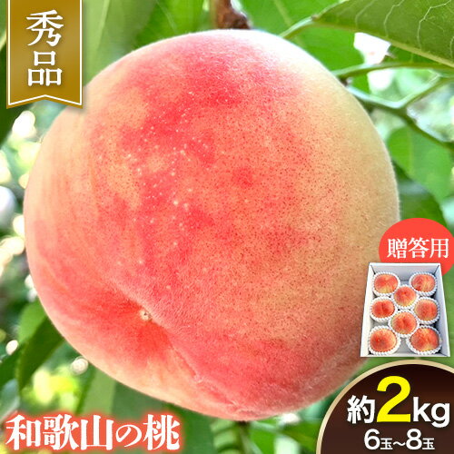 【ふるさと納税】 【贈答用/熨斗非対応】 秀品 和歌山の桃 約2kg (6玉~8玉) m&n果実園 【配送不可地域あり】 《2025年6月中旬-7月下旬頃出荷》和歌山県 紀の川市 モモ 桃 もも 旬 白鳳 日川白鳳 なつっこ 果物 フルーツ 贈り物 ギフト