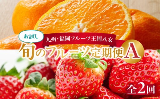 九州・福岡フルーツ王国八女 お試し旬のフルーツ定期便【全２回】A｜＜配送不可：北海道・沖縄・離島＞ フルーツ 定期便 あまおう みかん いちご 蜜柑 オレンジ 果物 福岡県 八女市