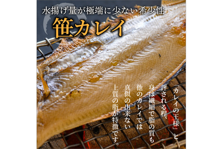 のどくろ、笹カレイ入り 一夜干し詰め合わせ ゴールド