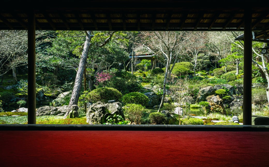 新居浜の名刹「慈眼寺」で水引細工体験！抹茶とフレンチも堪能する贅沢な時間 「10名様」（814）