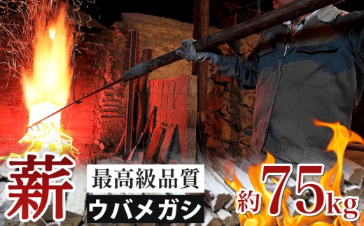 薪 【ウバメガシ】 約 75kg キャンプ マキ 木 木材 燃料 薪ストーブ ボイラー 風呂 風呂釜 アウトドア BBQ 焚き火 焚火 薪ストーブ 暖炉 三重県 伊勢 志摩 南伊勢町 マルモ製炭所