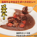 【ふるさと納税】かながわブランド足柄牛とやまゆりポークのカレー4個セット