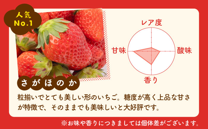 【先行予約】いちご食べ比べ！「さがほのか」と「パールホワイト」220g×各2パック 計4パック 【ハヤシダファーム】/イチゴ 苺 ストロベリー 紅白 [IAQ017]