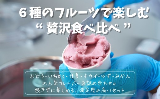 6種のフルーツで楽しむ“贅沢食べ比べ”