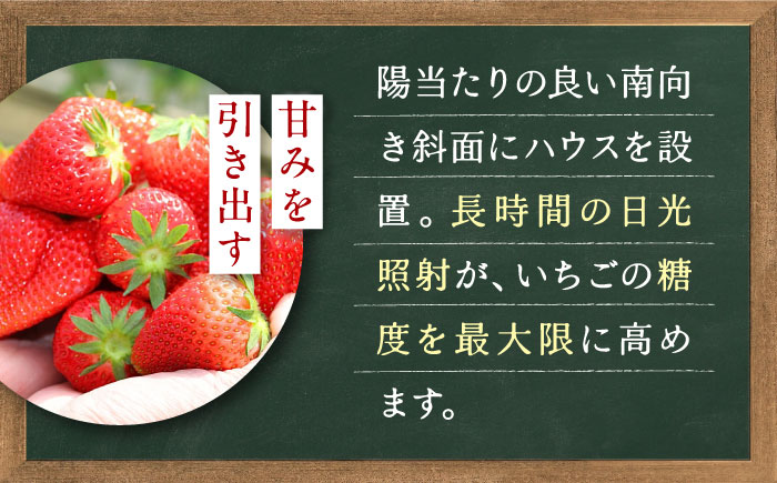 【先行予約】季節のイチゴ詰め合わせ 400g×4パック ＜2026年4月下旬以降発送＞ ／ いちご イチゴ 苺 果物 フルーツ 国産 産地直送 農家直送【周年観光農園エコファームうちこ】 [BKBW0