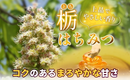 藤原黄金蜂蜜 栃 国産蜂蜜 ケンポナシ 各120g 計240g はちみつ とち 玄圃梨 国産 単花蜜 朝しぼり 完熟 ハチミツ パン 菓子 トースト ホットケーキ ヨーグルト 調味料 隠し味 お取り寄