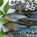 【ふるさと納税】高津川天然あゆ冷凍　500g(吉賀町)【配送不可地域：離島】【1259201】