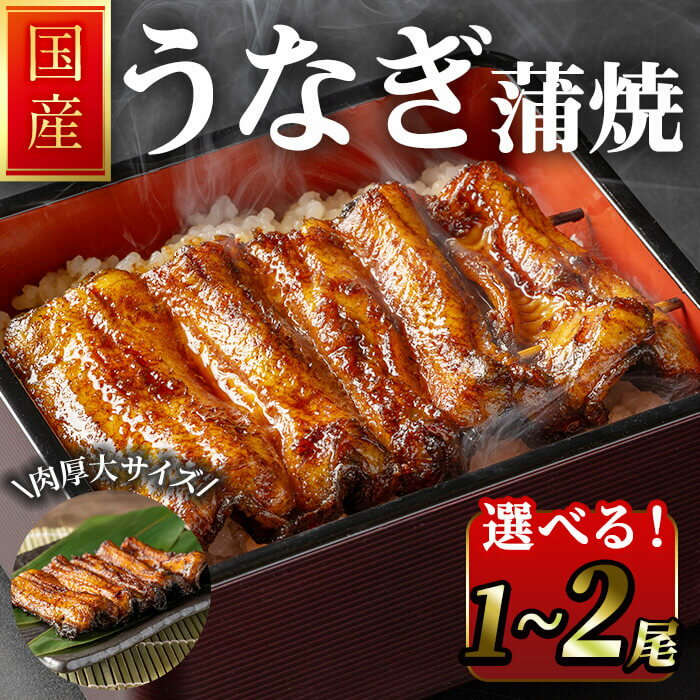【ふるさと納税】職人手焼き 国産うなぎ蒲焼 1尾～2尾 選べる容量 肉厚 大サイズ 特大 鰻 ウナギ 蒲焼き 【逢隈亭】sh099・ sh127