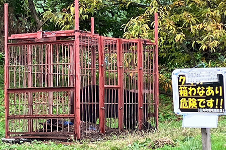 【返礼品なし】熊被害対策支援(山形県庄内町)