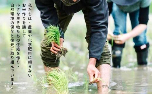 【令和7年新米・先行受付】ちぎり米 5kg(「さがびより」、「ヒノヒカリ」、「夢しずく」から1種類 選択不可)【栽培期間中農薬不使用米 佐賀県産 米 お米 コメ こめ 国産 美味しい】K091002
