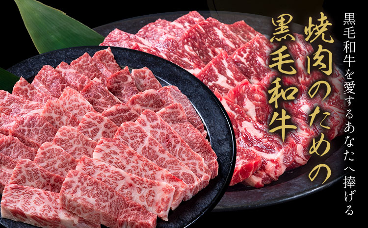 セット650g(霜降り325g+赤身325g) 数量限定 牛肉 冷凍 黒毛和牛 《30日以内に出荷予定(土日祝除く)》 個別 取分け 小分け 個包装 赤身 霜降り 岡山県 笠岡市 牛 牛肉 和牛 焼肉