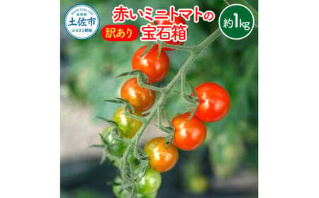 【訳あり】【先行予約】訳あり 赤いミニトマトの宝石箱 約1キロ 約1kg〈2026年11月下旬〜2027年5月下旬まで〉高知県 土佐市【ファーム輝】 [BQBM009]