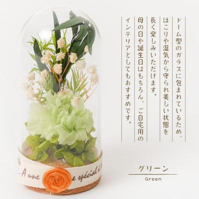 ふるさと納税 羽島市 プリザーブドフラワー ガラスドーム型アレンジ 【イネス ミニ(グリーン)】 |  | 01