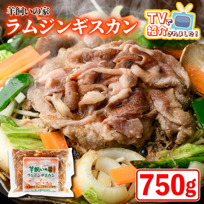 【ふるさと納税】特製 ラム ジンギスカン (750g×1袋) 羊 羊肉 ラム肉 冷凍 焼肉 ジンギスカン ラムジンギスカン 醤油ベース タレ 味付き BBQ バーベキュー 【羊と雲の丘観光】