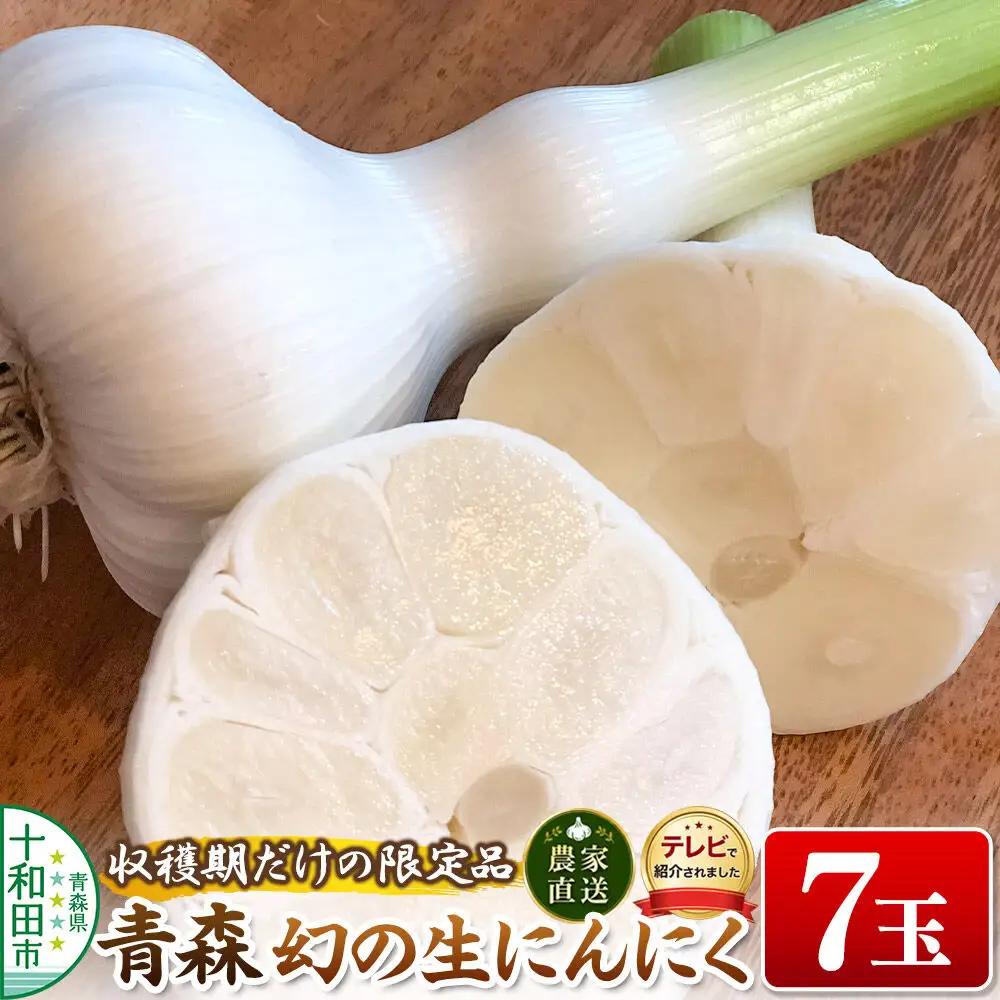 先行受付【テレビ紹介】青森 幻の生にんにく7玉（農家直送・収穫期だけの限定品） 青森にんにくファーム