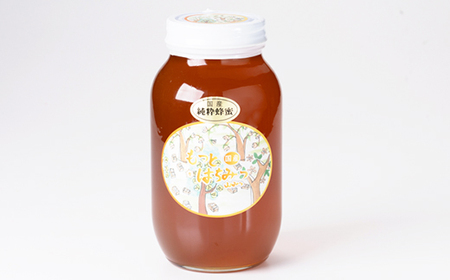 津山市産 山蜂蜜　1200g【1605230】