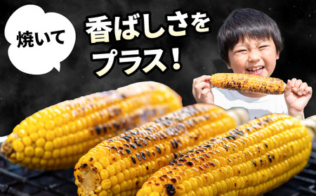 【令和7年度出荷先行予約！】北海道岩見沢市産とうもろこし2Lサイズ24本【11112】