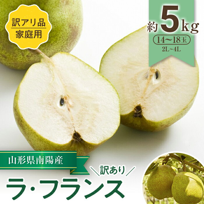 【ふるさと納税】 【令和8年産先行予約】 〈訳あり品 家庭用〉 ラ・フランス 約5kg (14～18玉 2～4L) 《令和8年11月中旬～発送》 『寿農園』 洋梨 梨 なし ナシ フルーツ 果物 山形県 南陽市 [1056]