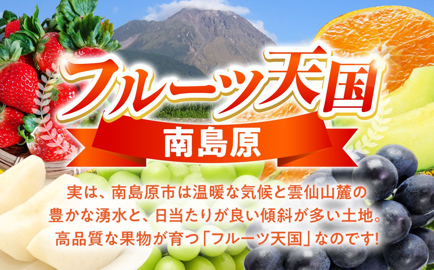 果物定期便 フルーツ 定期便 果物 春フルーツ 夏フルーツ 秋フルーツ 冬フルーツ 果物 フルーツ 果物定期便