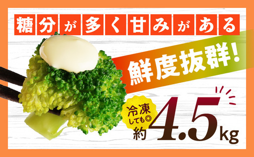 訳ありブロッコリー　約4.5kg | ブロッコリー 野菜 食材 サラダ 料理 大きい 新鮮 生野菜 生鮮食品 栄養価が高い ご家庭用 生産者応援 冷蔵 おすすめ 香川県 三木町 |_mk006-093