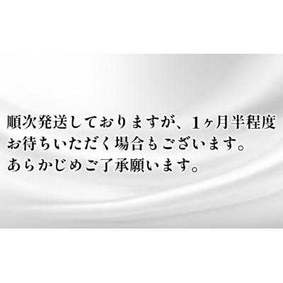 ふるさと納税 岩沼市 キッチンペーパースコッティ3倍巻きキッチンタオル150カット2R×24P[No.5704-0827] |  | 01