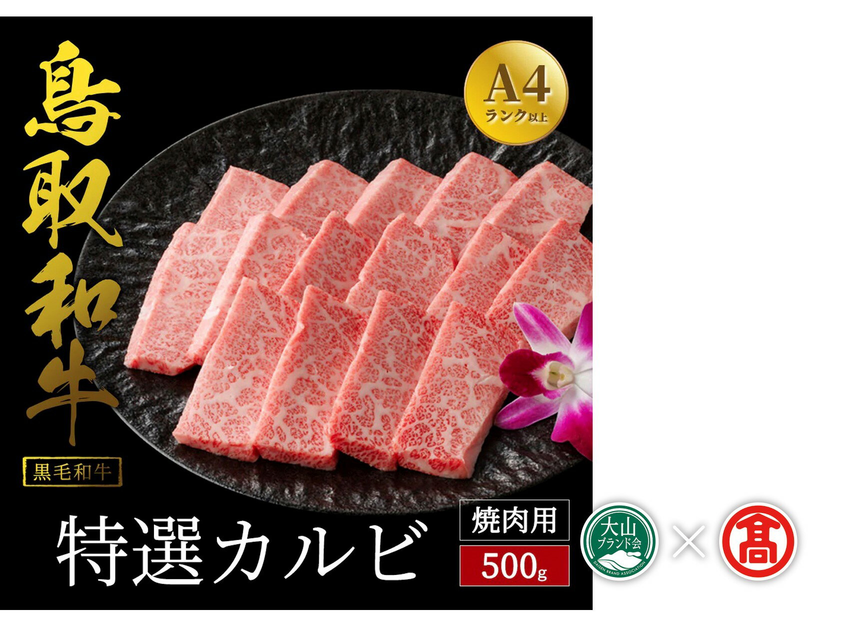 【ふるさと納税】だんだんキッチン鳥取和牛 A4ランク以上 特選カルビ 500g 冷凍（大山ブランド会）【45-DS4】鳥取和牛 黒毛和牛 焼き肉 ヤキニク 和牛 牛肉 牛バラ 特選 霜降り 鳥取県 米子市