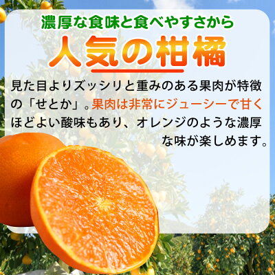 G7353_【2026年先行予約】とろける食感！ジューシー柑橘 せとか 3kg